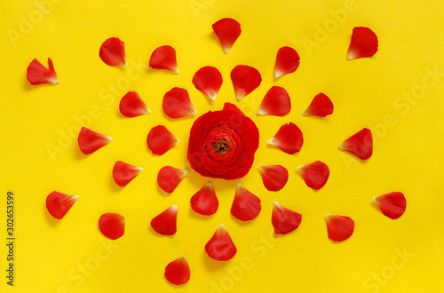Red flowers on a yellow background