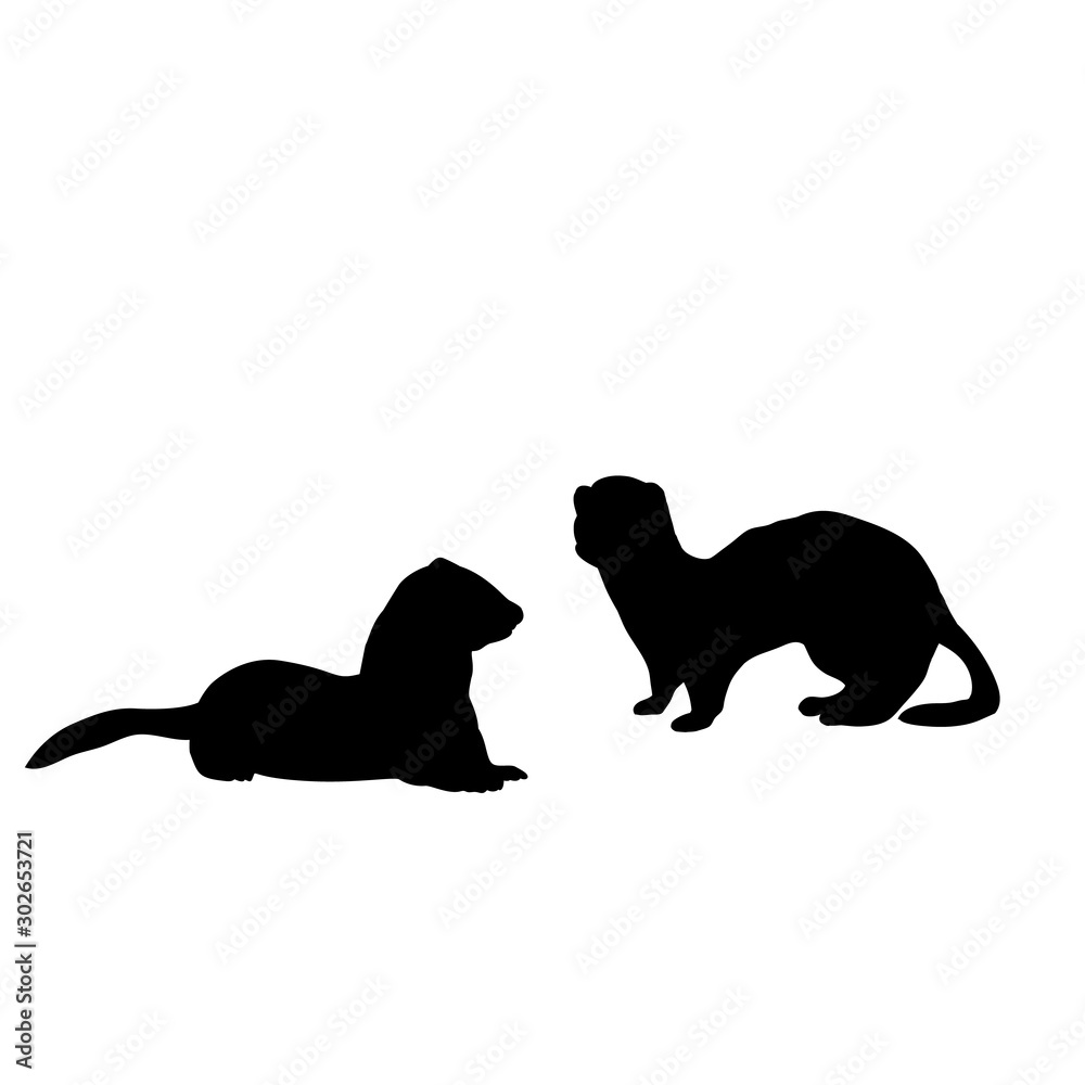 Silhouette of two Weasels and a ferret. An animal of the marten family.