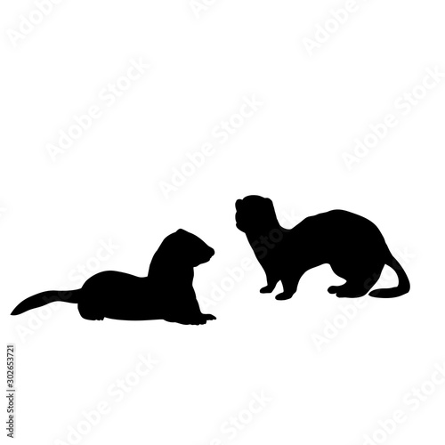Silhouette of two Weasels and a ferret. An animal of the marten family.