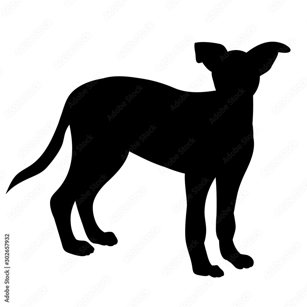 black silhouette of a dog standing