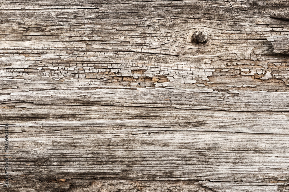 Fototapeta premium eroded wood surface, grunge wooden texture may used as backgorund