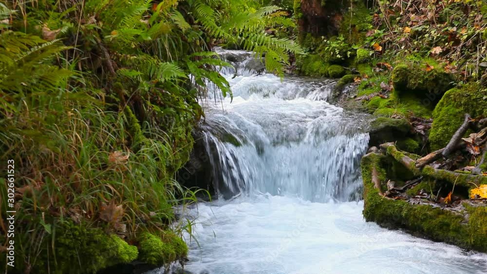 tranquil mountain river stream in forest urach schwäbische alb germany tranquil mountain river stream in forest urach schwäbische alb germany