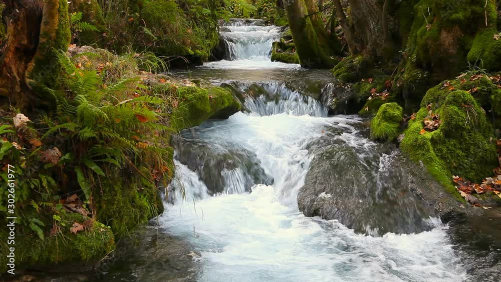 tranquil mountain river stream in forest urach schwäbische alb germany tranquil mountain river stream in forest urach schwäbische alb germany