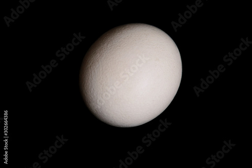 Big ostrich egg isolated on a black background, close up. Organic fresh egg. Concept of healthy food. Ostrich egg as symbol of birth. Huge white egg shell of an african ostrich.