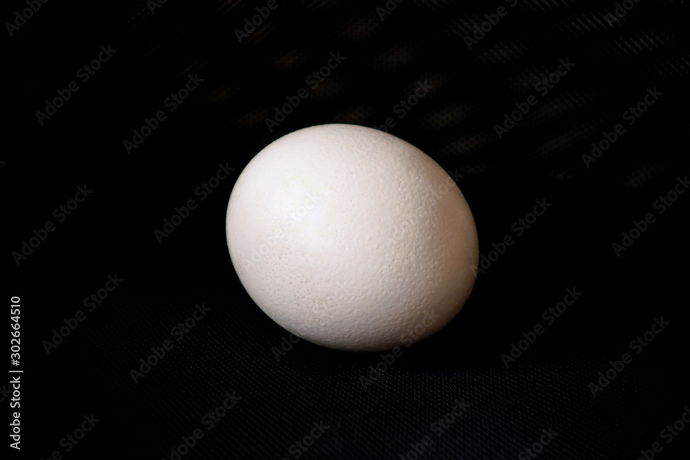 Big ostrich egg isolated on a black background, close up. Organic fresh egg. Concept of healthy food. Ostrich egg as symbol of birth. Huge white egg shell of an african ostrich. Big ostrich egg isolated on a black background, close up. Organic fresh egg. Concept of healthy food. Ostrich egg as symbol of birth. Huge white egg shell of an african ostrich.