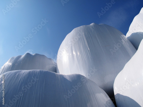 hay bales in white plastic stacked on each other at Roback photo