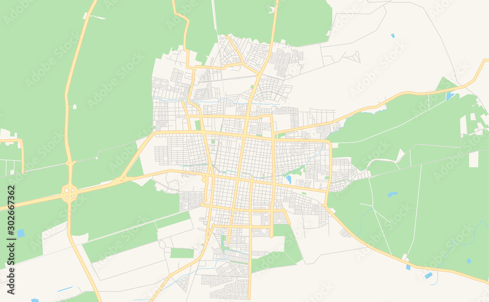 Printable street map of Palmira, Colombia