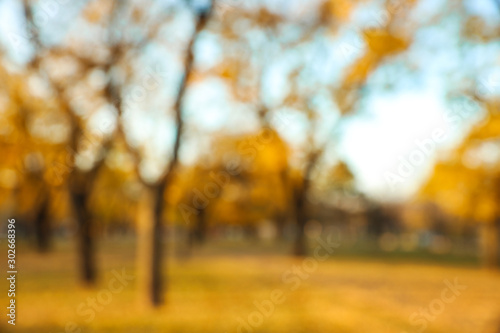 Blurred view of autumn park. Bokeh effect