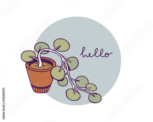 Hand drawn houseplant on a white background. Vector image for creative and cute design of posters  cards  banners and invitations.