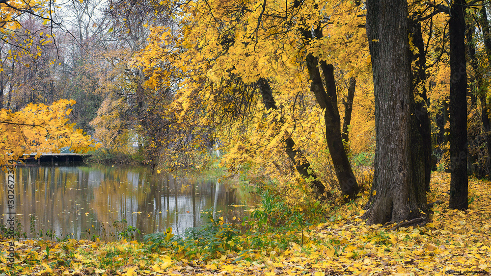 Golden autumn near Moscow 
