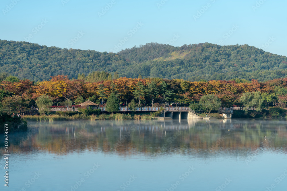 가을단풍