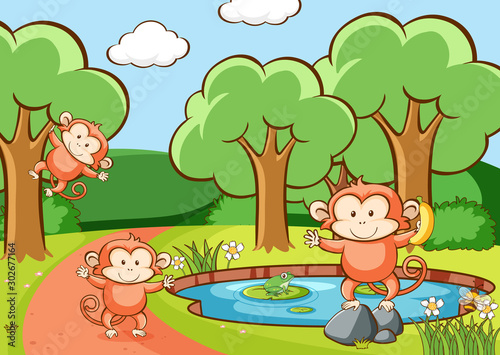 Scene with monkeys in forest