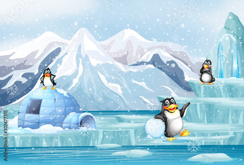 Scene with penguins in the snow