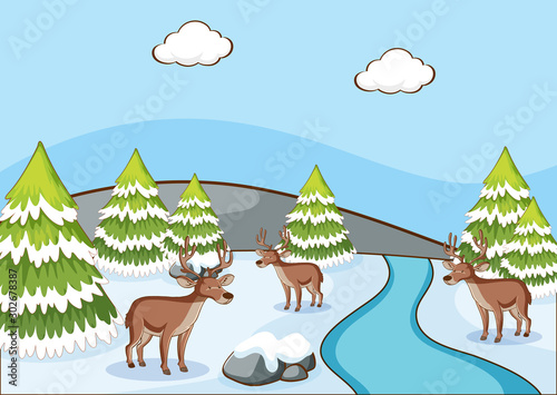 Scene with reindeers on the snow field