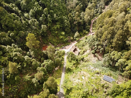 Hidden pool in the forest