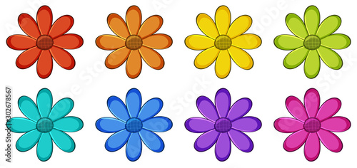Isolated set of flowers