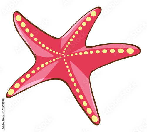 Red starfish on white background