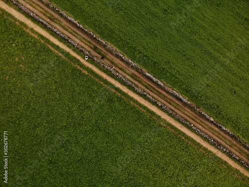 Diagonal road in the green field