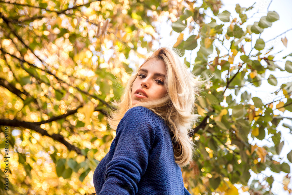 autumn season. portrait of a woman with blue sweater playing with leaves autumn season. portrait of a woman with blue sweater playing with leaves