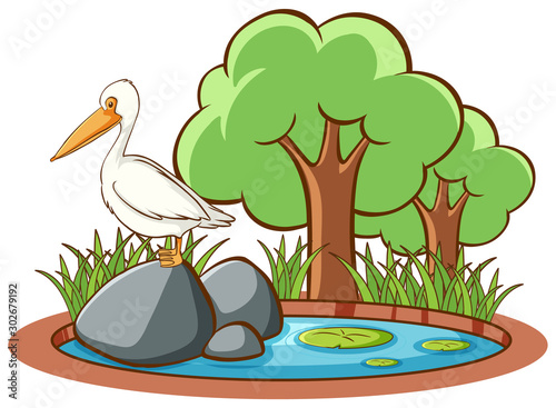 Isolated picture of stork in the park