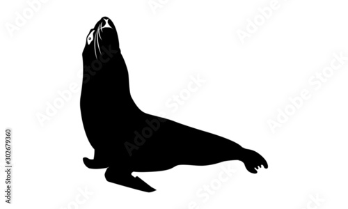 black sea lion silhouette