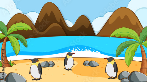Scene with penguins on the beach
