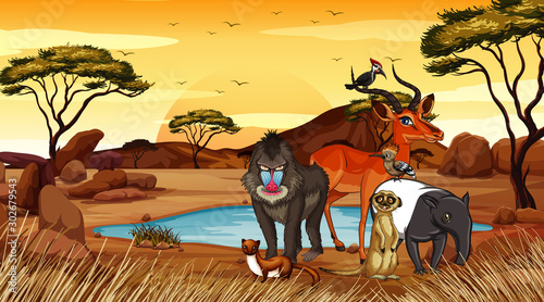 Scene with many animals in the field