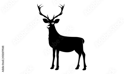 deer vector illustration