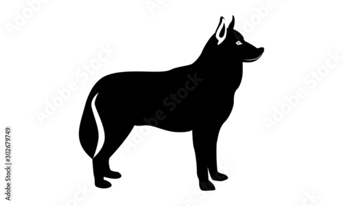 Dog   Wolf flat illustration