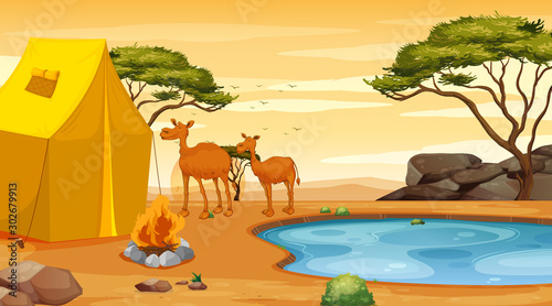 Scene with two camels in the desert
