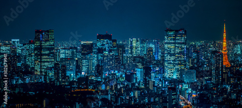 Canvas Print 東京都市風景 夜景 Night view of Tokyo Japan