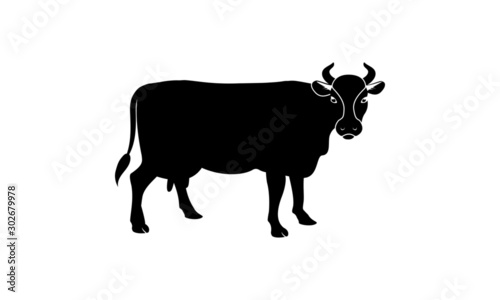 Cow Illustration for web and mobile