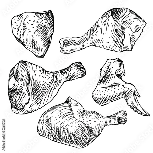 Chicken cuts, hen parts. Domestic bird meat set. Engraving sketch style. 