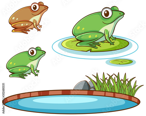 Isolated picture of frogs and pond
