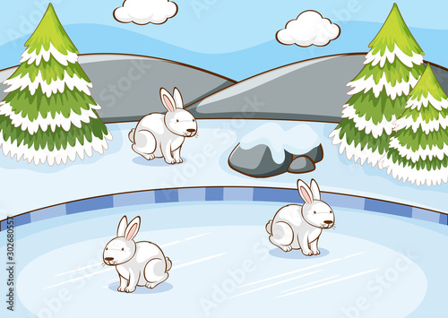 Scene with rabbits in winter