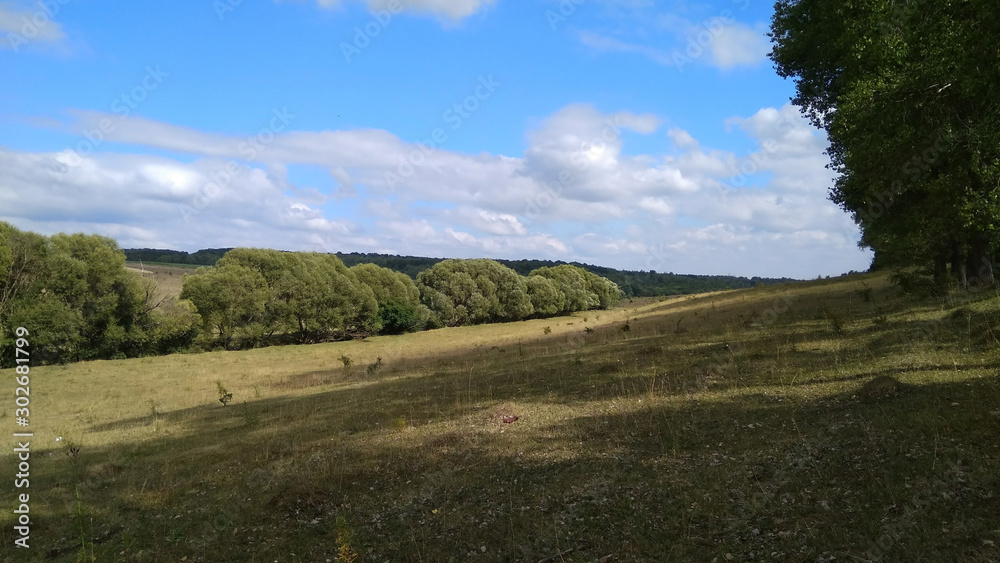 Naklejka premium green fields with forests