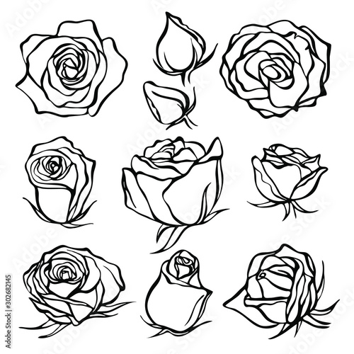 Wallpaper Mural Sketch Rose Flower Set. Pencil sketch flowers with leaves on stem. Graphic emblems. Hand-drawn contour lines and strokes. Torontodigital.ca