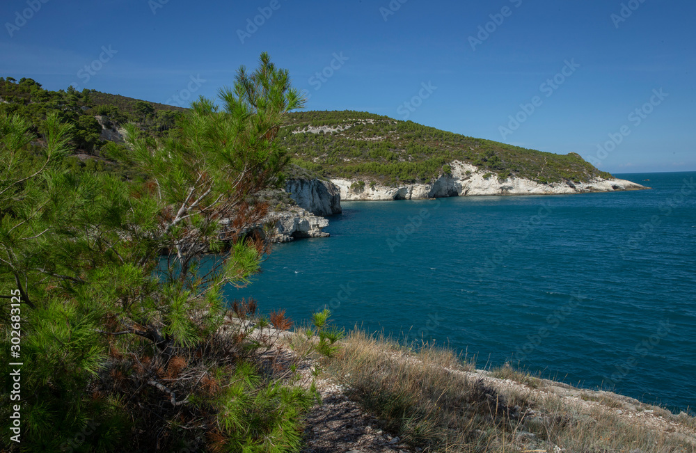 Santa Tecla national Park. Apulia. Italy. Adriatic Sea. Coast. Bay with caves.