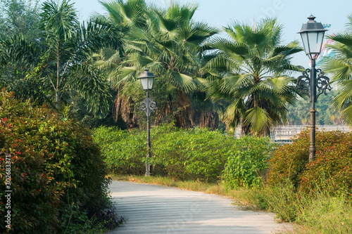 Path covered with trees and lamps