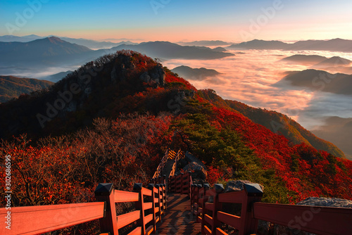 Photography The horizon line is normally covered with morning mist in autumn on the peak of Chunmasan Mountain in Seoul, South Korea