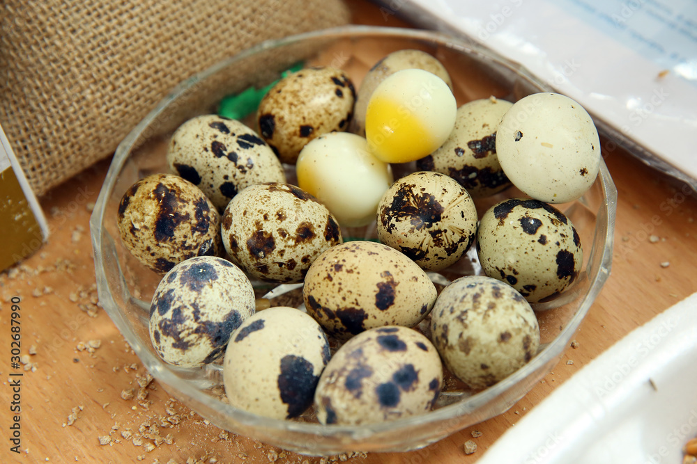 Quail Eggs In A Glass Bowl Top View . quail eggs in a glass bowl . The quail eggs are in the white glass plate.
