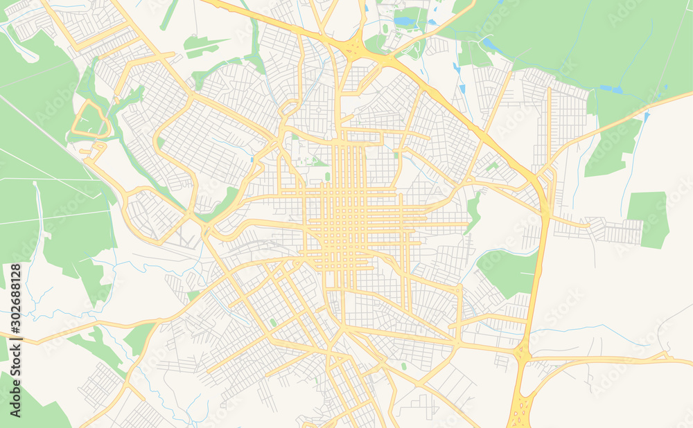 Printable street map of Sao Carlos, Brazil