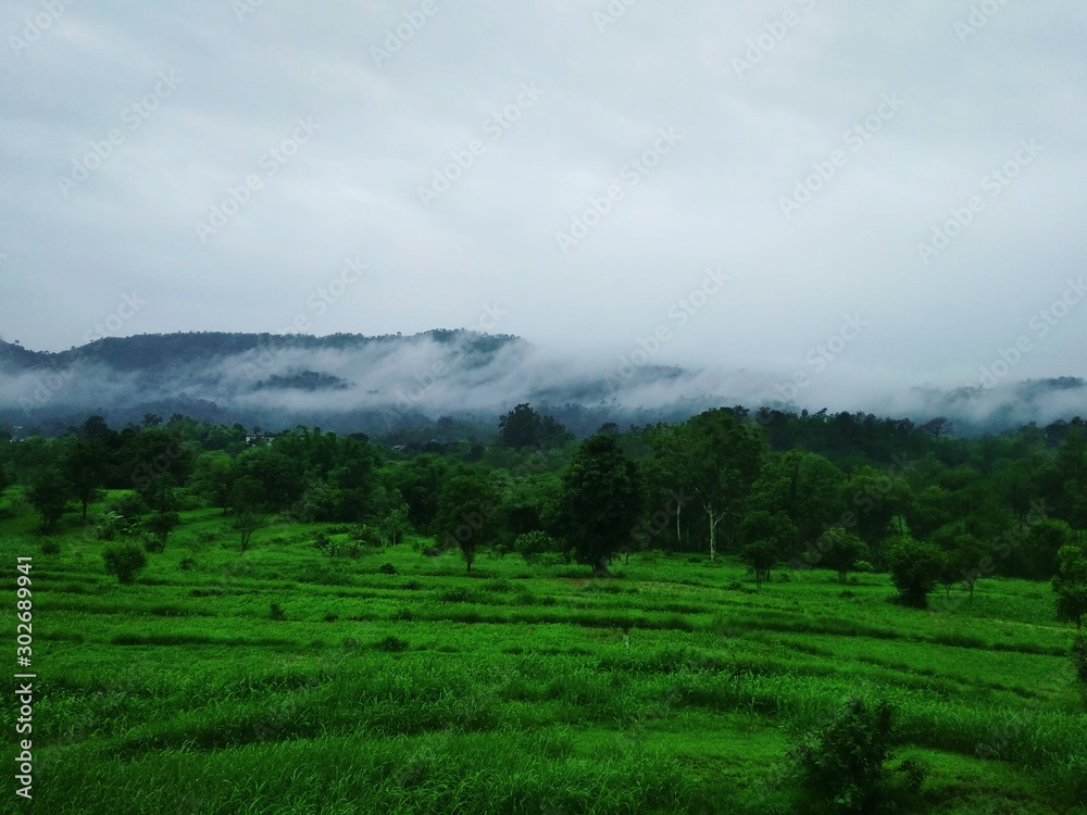 Fototapeta premium landscape with clouds
