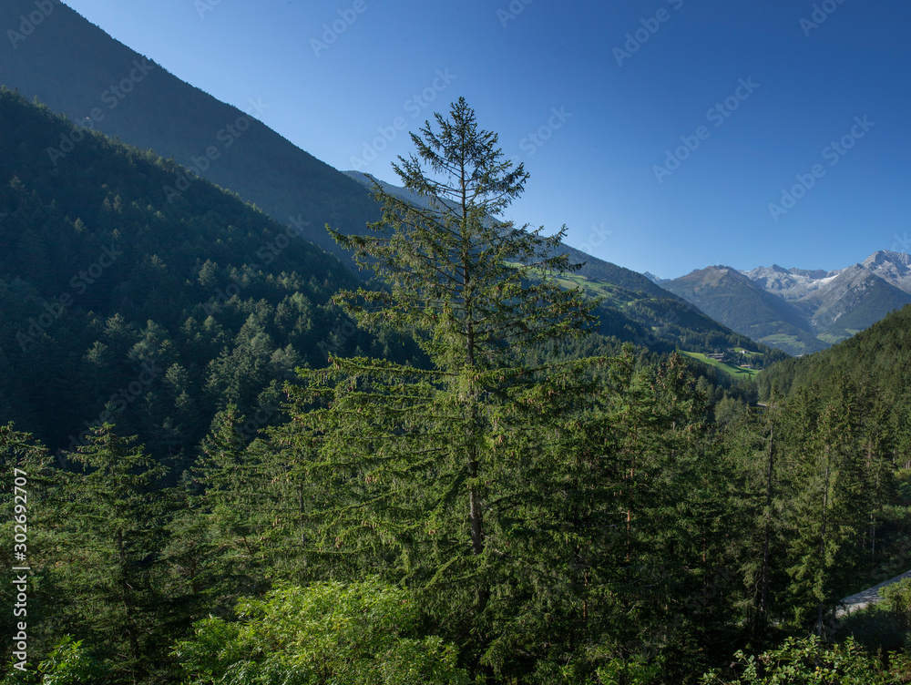 Torrente Aurino Italy. South Tirol. Campo Tures. Dolomites Torrente Aurino Italy. South Tirol. Campo Tures. Dolomites