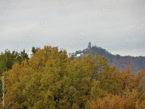 Lum 2019-11-09 Honnef 217 photo