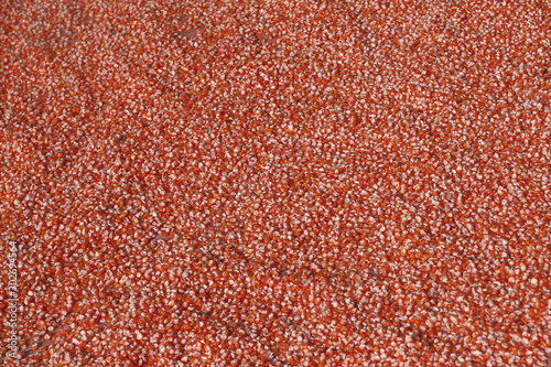 Many red corn seed drying on the ground texture background - vegetable food scene  © kittinit