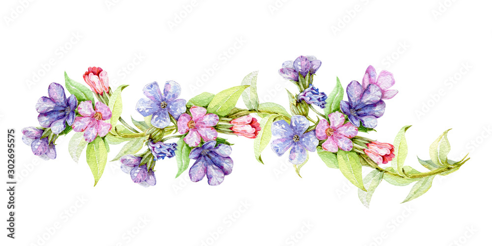 Lungwort herb watercolor border illustration. Medical wild plant with blue flowers on the stem hand drawn decore image. Blooming lungwort herb isolated on white background. 