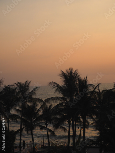 View of silhouette coconut trees against sunrise orange purple sky for Thailand travel background.