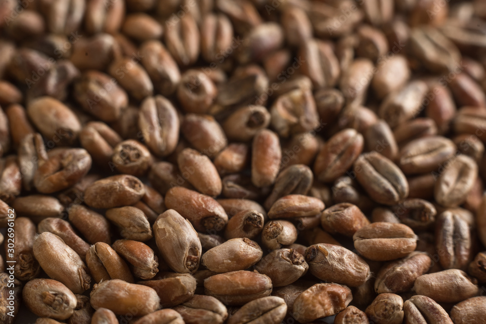Wheat for alcohol production. Wheat background. Top view, flat lay Wheat for alcohol production. Wheat background. Top view, flat lay