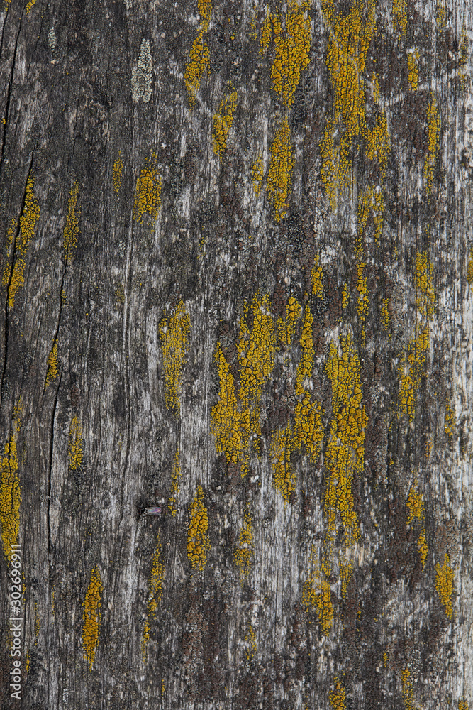 old wooden texture for background old wooden texture for background
